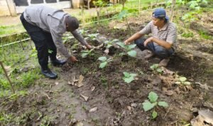 Bhabinkamtibmas Desa Grogol Cek Lahan Pertanian Ketahanan Pangan 