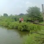 Polsek Krian Dorong Ketahanan Pangan Polresta Sidoarjo Melalui Budidaya Ikan Lele di Desa Kraton