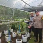 Cek Tanaman Hidroponik, Bhabinkamtibmas Desa Bangah Dukung Swasembada Pangan