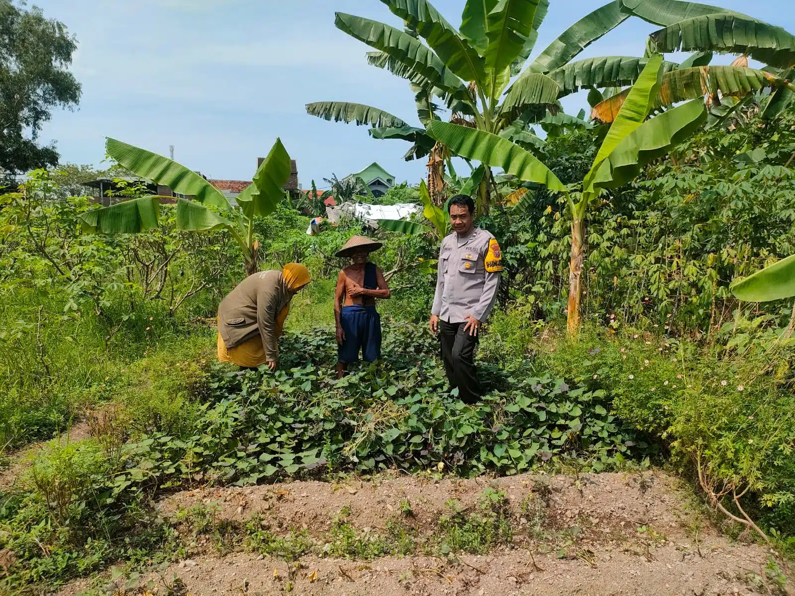 Polsek Gedangan Motivasi Ketahanan Pangan ke Petani Desa Keboananom