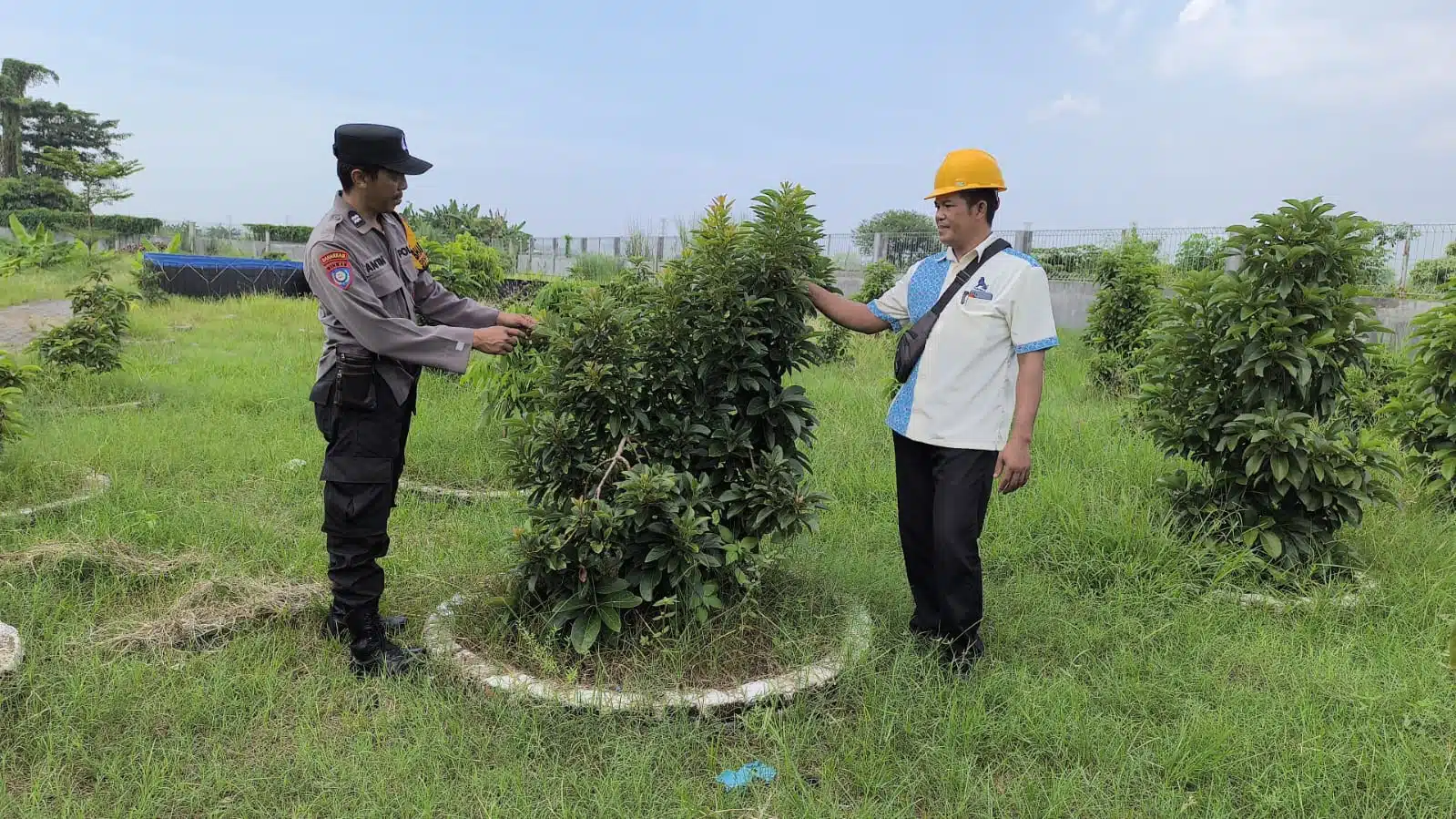 Pemanfaatan Lahan Kosong di Desa Sidodadi Dukung Ketahanan Pangan Nasional