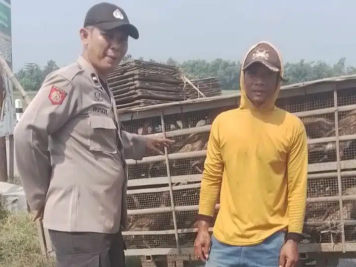 Polsek Tarik Laksanakan Patroli Ketahanan Pangan di Peternakan Bebek Desa Kedungbocok