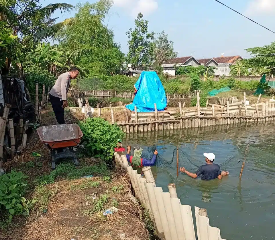 Bhabinkamtibmas Desa Kali Pecabean Polsek Candi Tinjau Budidaya Ikan Lele Wujudkan Ketahanan Pangan