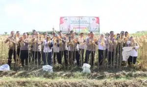 Polres Kediri Kota bersama Warga Tani Panen Raya Jagung, Wujud Nyata Dukung Swasembada Pangan