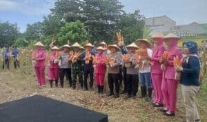 Gotong Royong Wujudkan Panen: Kolaborasi Masyarakat dan Kepolisian Berbuah Hasil