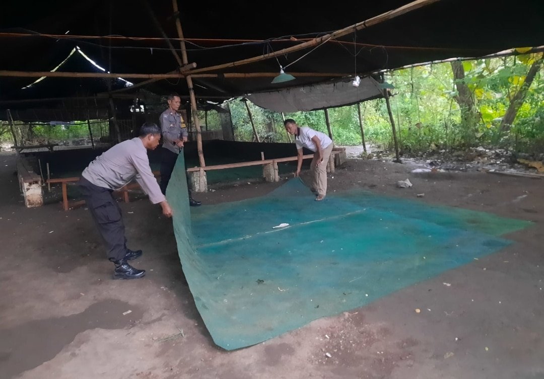 Berantas Perjudian Polisi Bongkar Arena Sabung Ayam di Nganjuk
