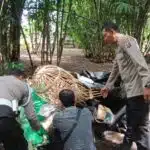 Tegas Berantas Perjudian Polisi Bongkar Lima Arena Sabung Ayam di Jember