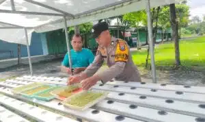 Gelorakan Swasembada Pangan, Polisi di Sidoarjo Ajak Warga Kembangkan Tanaman Hidroponik