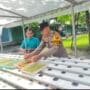 Gelorakan Swasembada Pangan, Polisi di Sidoarjo Ajak Warga Kembangkan Tanaman Hidroponik