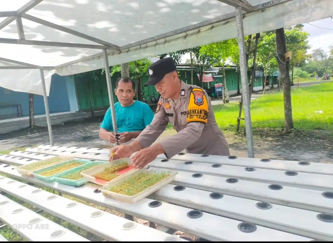 Gelorakan Swasembada Pangan, Polisi di Sidoarjo Ajak Warga Kembangkan Tanaman Hidroponik