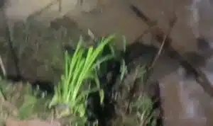 Tulungagung Diterjang Air Bah, Dua Warga Hilang