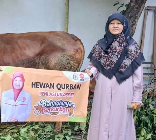 Momen Idul Adha 2025, Reni Astuti Sumbang 1 Ekor Sapi Gemuk Ke PKS Surabaya