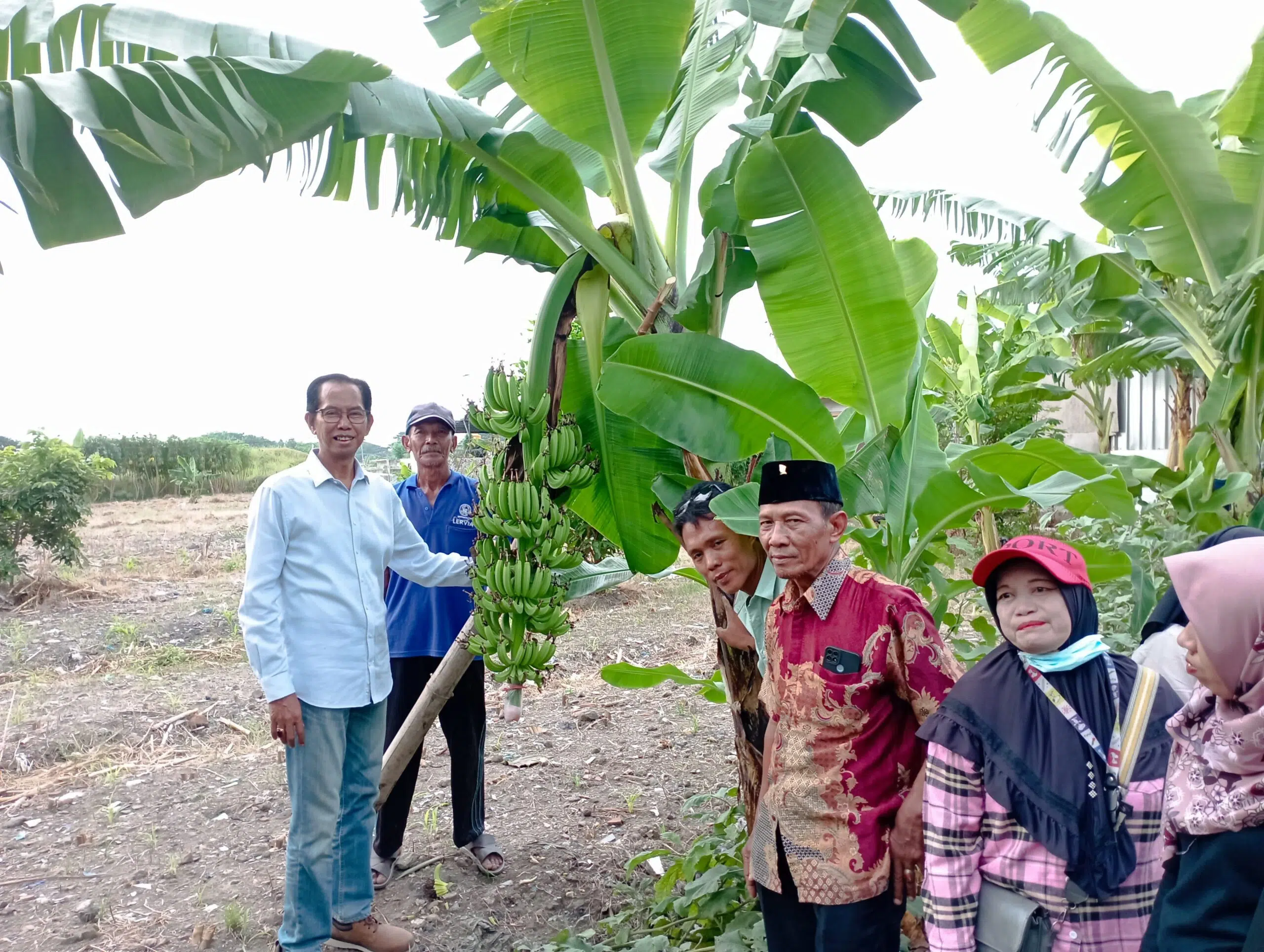 Bulan Bung Karno, Ketua DPRD Surabaya Dorong Ketahanan Pangan Melalui Pertanian Kota