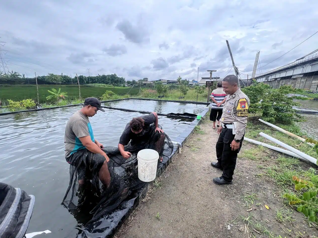 Polsek Wonoayu Salut Perkembangan Program Ketahanan Pangan pada Budidaya Ikan Mujair di Jimbaran Wetan