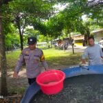 IMG 20250603 WA0022