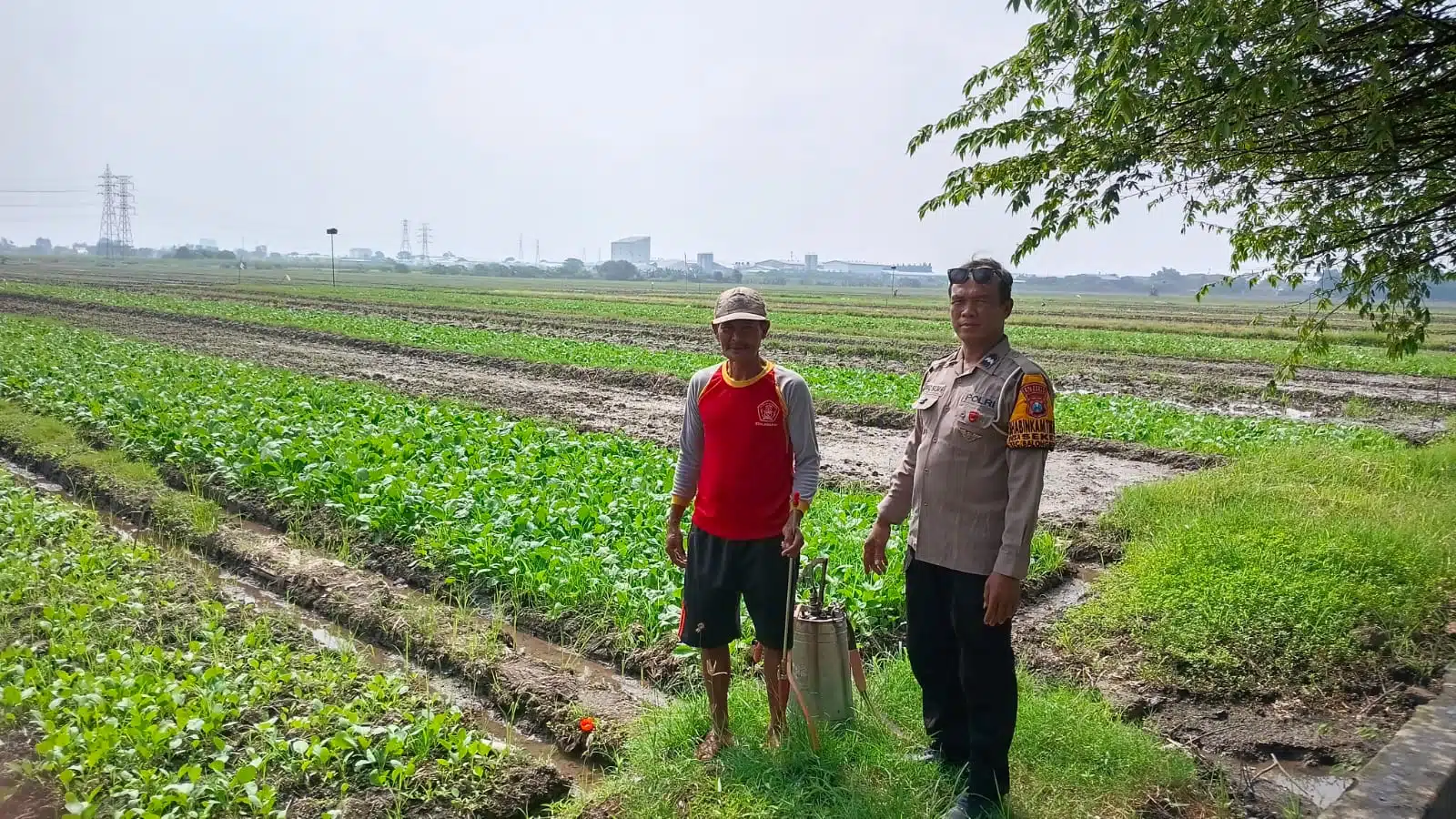 Bhabinkamtibmas Desa Seketi Dorong Ketahanan Pangan Lewat Pekarangan Bergizi