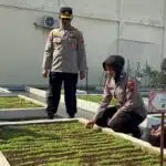 Sat Binmas Polresta Sidoarjo Motivasi Bhabinkamtibmas dalam Pengelolaan Lahan Ketahanan Pangan