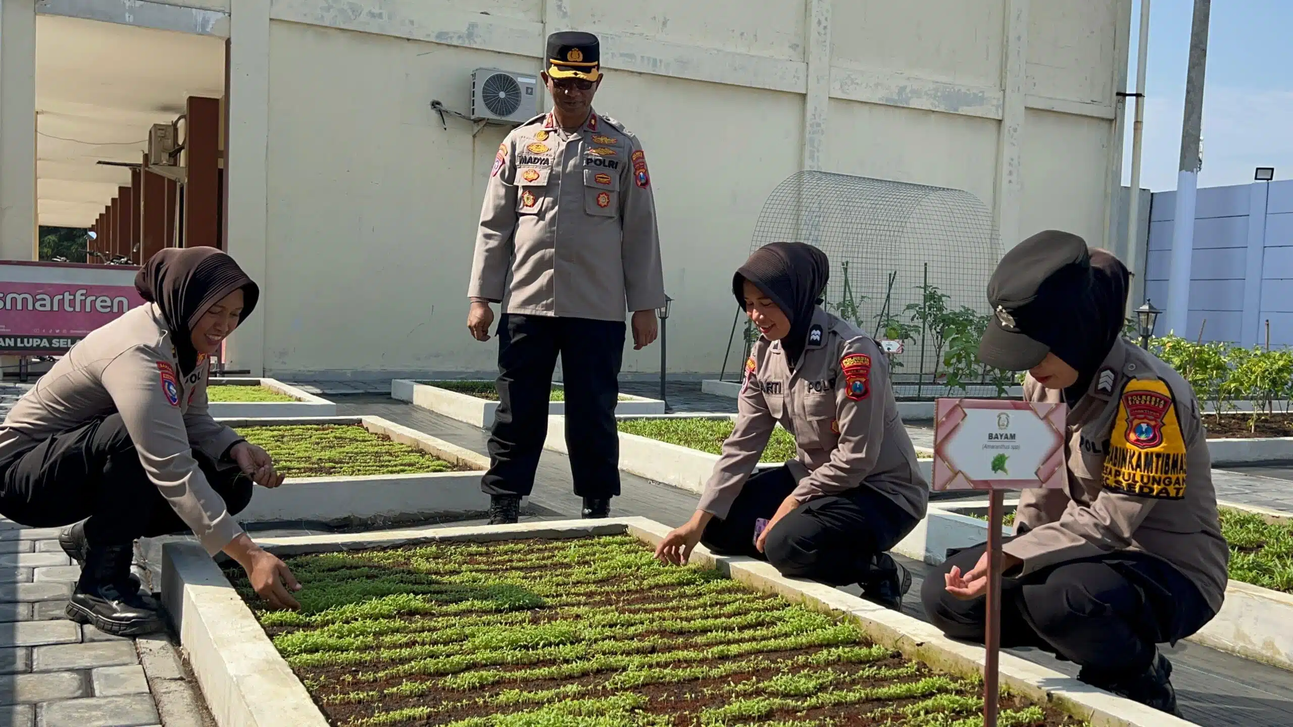 Sat Binmas Polresta Sidoarjo Motivasi Bhabinkamtibmas dalam Pengelolaan Lahan Ketahanan Pangan