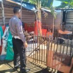 IMG 20250605 WA0017