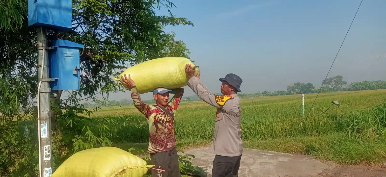Optimalkan Ketahanan Pangan, Bhabinkamtibmas Cek Lahan P2B di Desa Semambung Jabon 