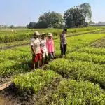 Bhabinkamtibmas Sambangi Petani, Dukung Ketahanan Pangan