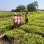 Bhabinkamtibmas Sambangi Petani, Dukung Ketahanan Pangan