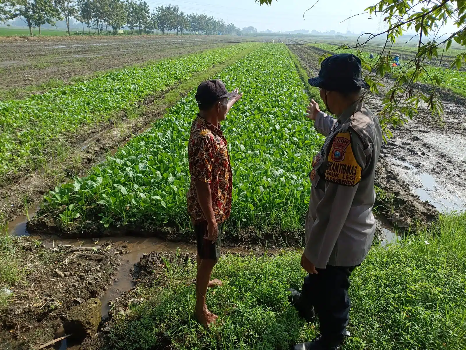 Bhabinkamtibmas Desa Jeruklegi Edukasi Warga Kelola Lahan Lebih Produktif untuk Dukung Ketahanan Pangan