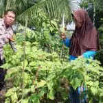 Bhabinkamtibmas Desa Buncitan Polsek Sedati Dorong Peran Warga Kelola Pekarangan Pangan Bergizi