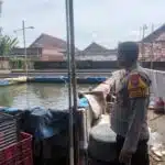 Polsek Tulangan Dukung Ketahanan Pangan Lewat Budidaya Lele di Pekarangan Warga