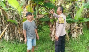 Bhabinkamtibmas Desa Wonoplintahan bersama Warga Optimalkan Kelola P2B