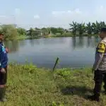 Bhabinkamtibmas Glagaharum Wujudkan Ketahanan Pangan Lewat Budidaya Ikan Nila