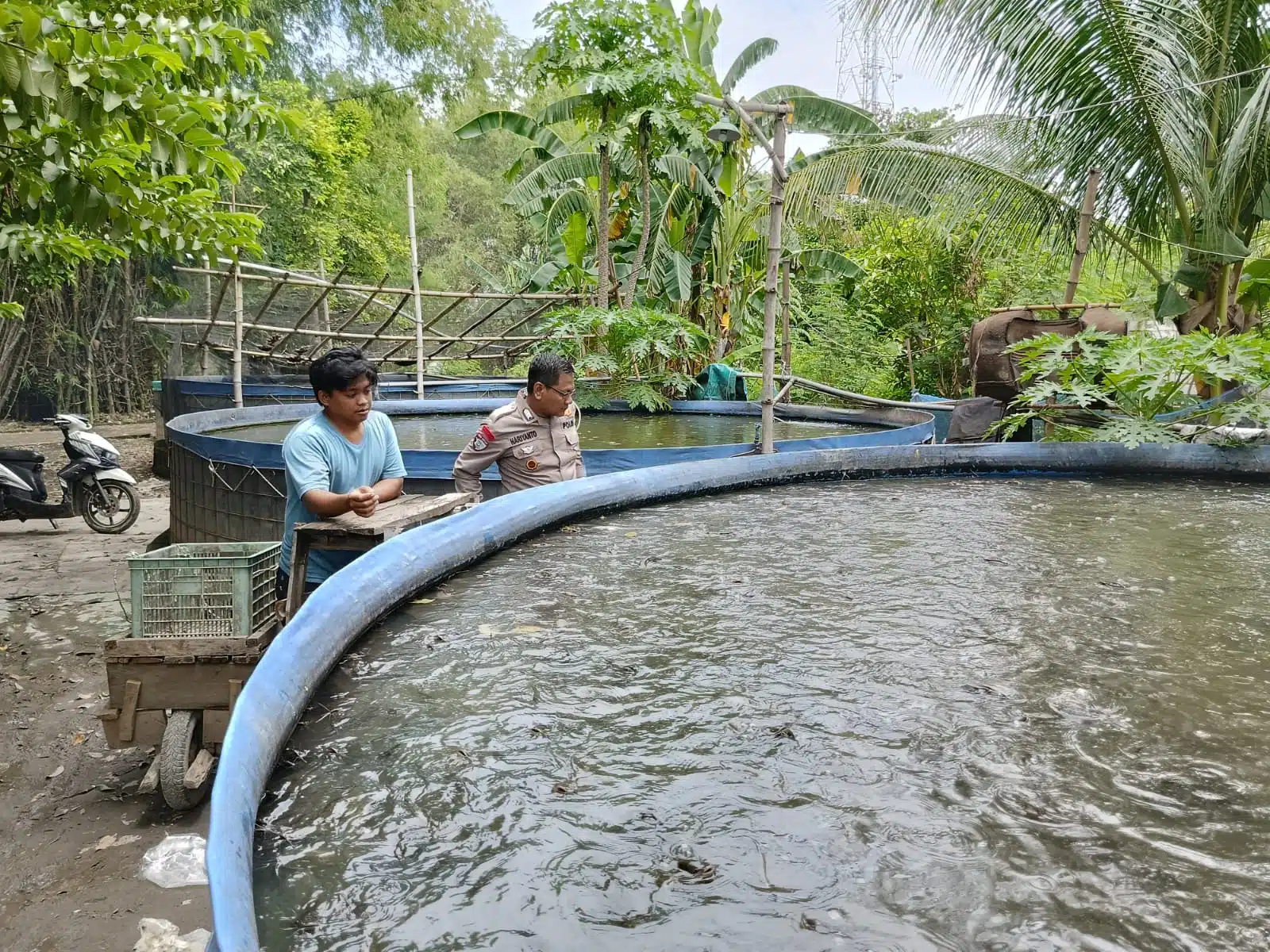 Polsek Tarik Dorong Ketahanan Pangan Lewat Program P2B di Desa Singogalih
