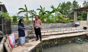 Perkuat Ketahanan Pangan, Polsek Porong Edukasi Warga Pembudidaya Ikan Nila