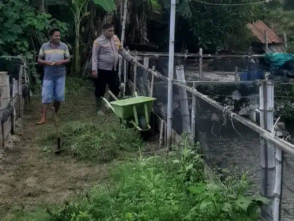 Polsek Tanggulangin Masifkan Ketahanan Pangan Melalui Patroli Sambang Desa