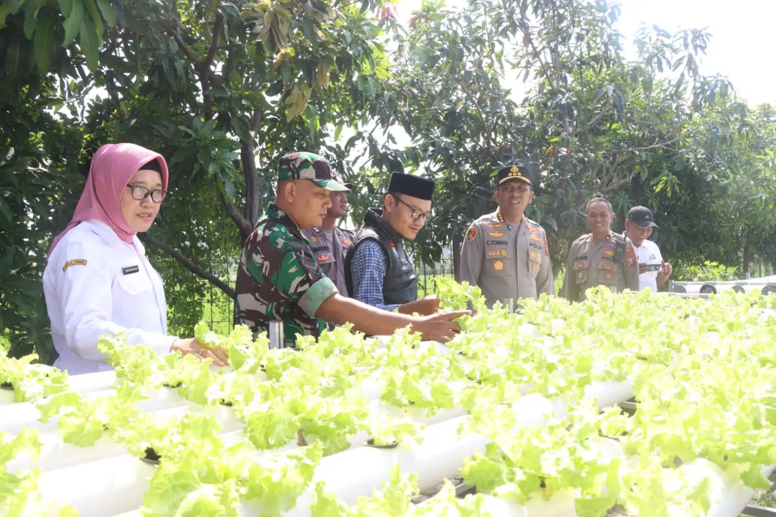 Budidaya Pakcoy Secara Hidroponik, Dinilai Kapolresta Sidoarjo Efektif Wujudkan Swasembada Pangan Masyarakat