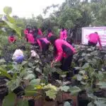 Wujud Dukungan P2L, Polsek Krembung dan Bhayangkari Turun Bareng ke Desa Lemujut 