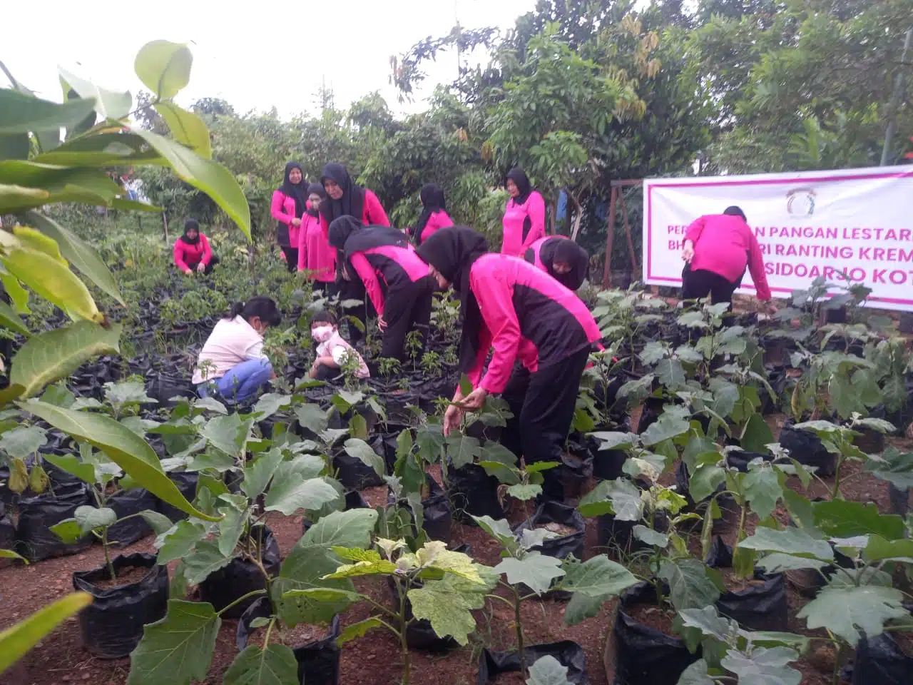 Wujud Dukungan P2L, Polsek Krembung dan Bhayangkari Turun Bareng ke Desa Lemujut 