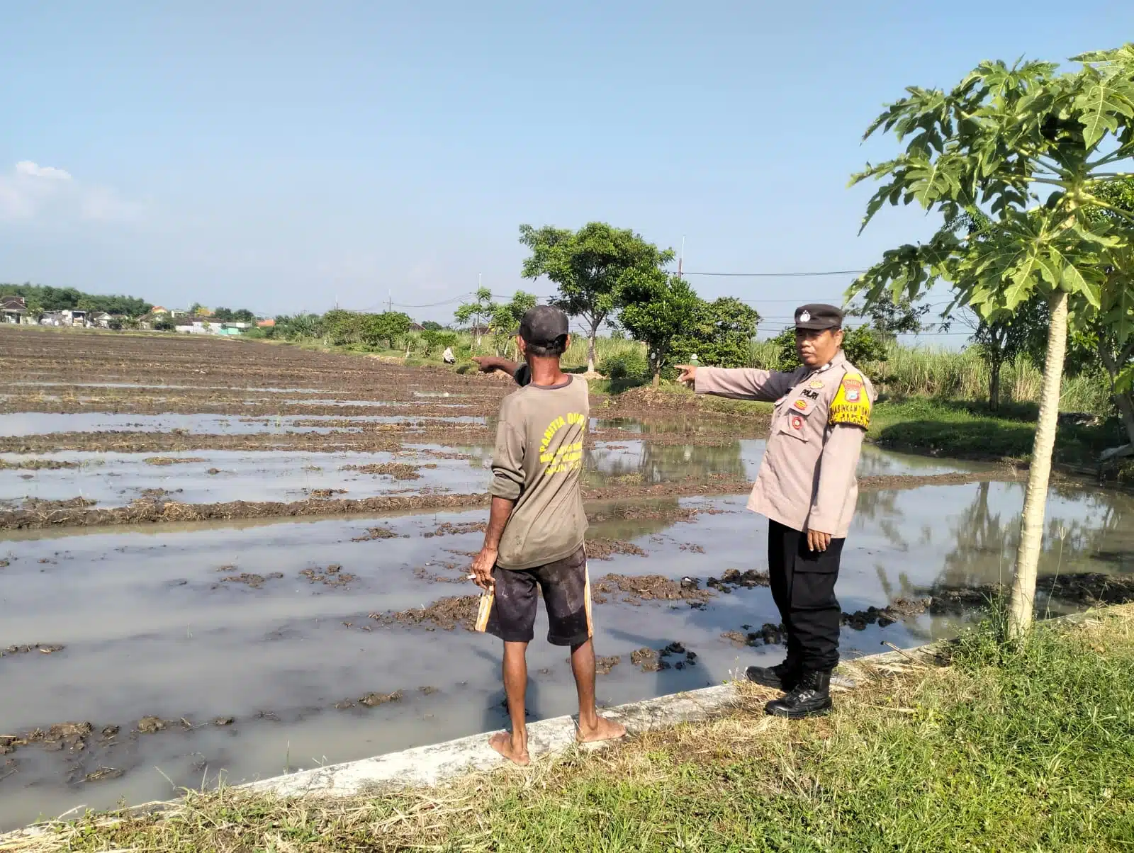 Bhabinkamtibmas Desa Jiken Cek Lahan Padi, Topang Ketahanan Pangan 