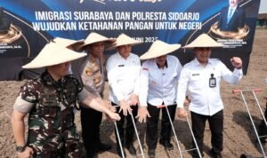 IMG 20250625 WA0041