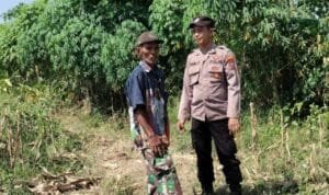 Polsek Tarik Gencarkan Patroli Ketahanan Pangan Perkebunan Jagung