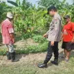Warga Kedungturi Taman Manfaatkan Lahan Kosong untuk Sukseskan Program Ketahanan Pangan