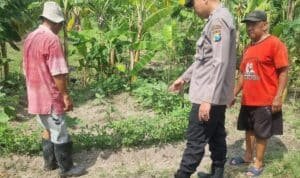 Warga Kedungturi Taman Manfaatkan Lahan Kosong untuk Sukseskan Program Ketahanan Pangan