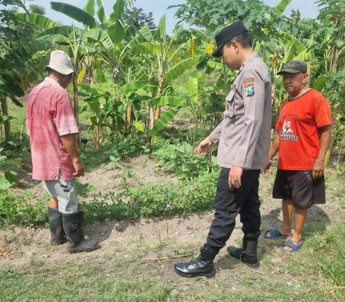 Warga Kedungturi Taman Manfaatkan Lahan Kosong untuk Sukseskan Program Ketahanan Pangan