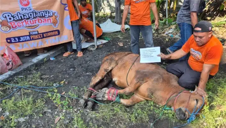 DPW PKS Jatim Gelar Kurban Akbar, Fraksi PKS Turut Berkontribusi
