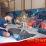 LAYANG-LAYANG DIBURU SAAT LIBURAN SEKOLAH, PENGRAJIN KEBAJIRAN ORDER