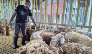 AA1L8syF.jpg AA1L8syF