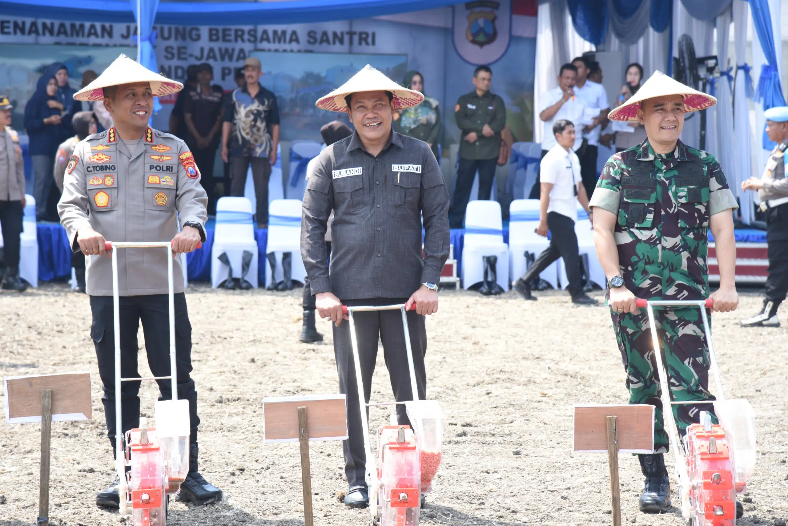 Dari Lahan Pesantren untuk Negeri: Santri Tanam Jagung, Sidoarjo Siap Mandiri Pangan