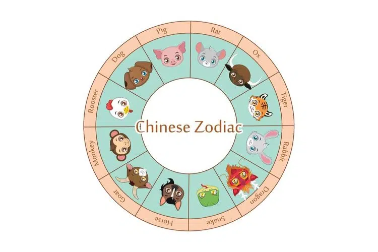 Ramalan Shio Minggu Ini: Monyet, Ayam, Anjing, Babi 21 September 2025