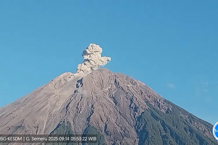 Gunung Semeru Meletus, Awan Abu Mencapai 700 Meter 7 Gunung Semeru Meletus, Awan Abu Mencapai 700 Meter