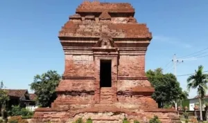 AA1NaCPi